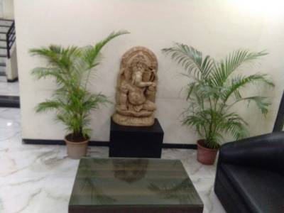 Images for Main Other of Titanium Paradise