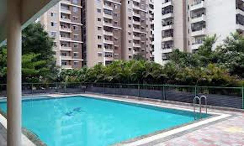  vistas Images for mainOther