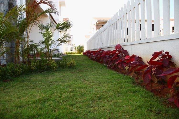 Images for Amenities of Regaliaa Realty The Ferns