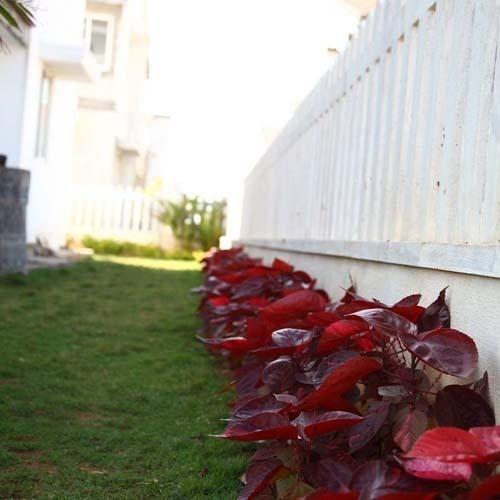 Images for Amenities of Regaliaa Realty The Ferns