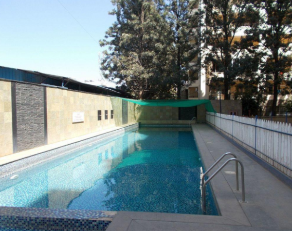  cressida Swimming Pool