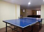  harmony Table Tennis