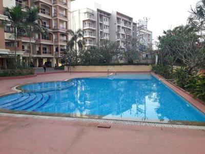  solicitude Swimming Pool