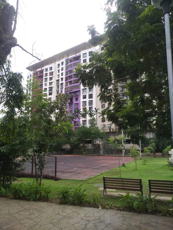  colorscape Basketball Court