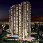  clubbe-life Elevation