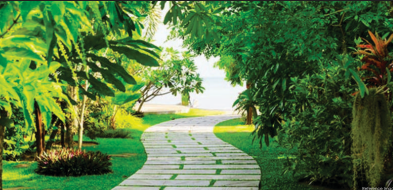  mogra vikas Jogging Track