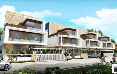 Images for Elevation of Supreme Palms