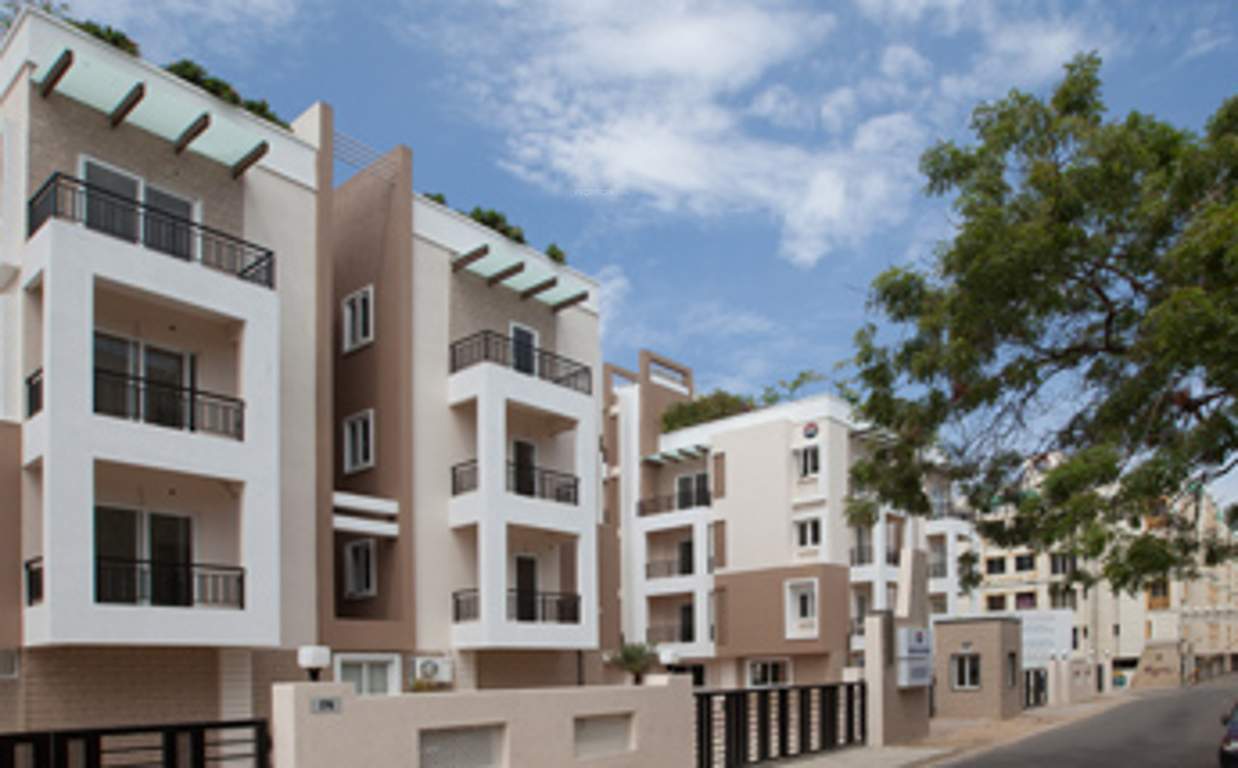 euphoria Images for Elevation of Doshi Euphoria