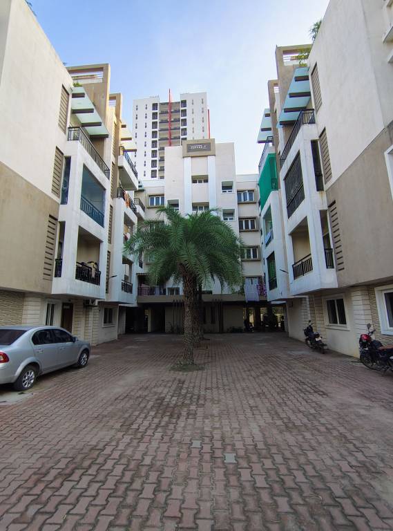 euphoria Paved Compound