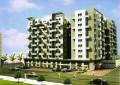 RM Realty Rich County Phase II