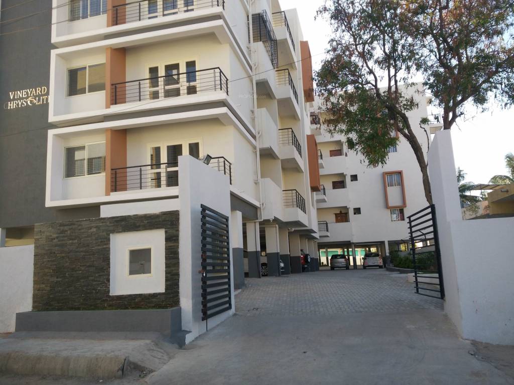 chrysolite Elevation