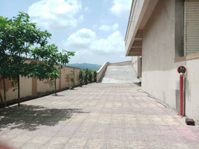  exotica Open Parking