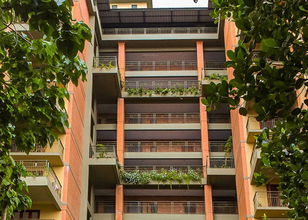 Images for Elevation of Good Elements