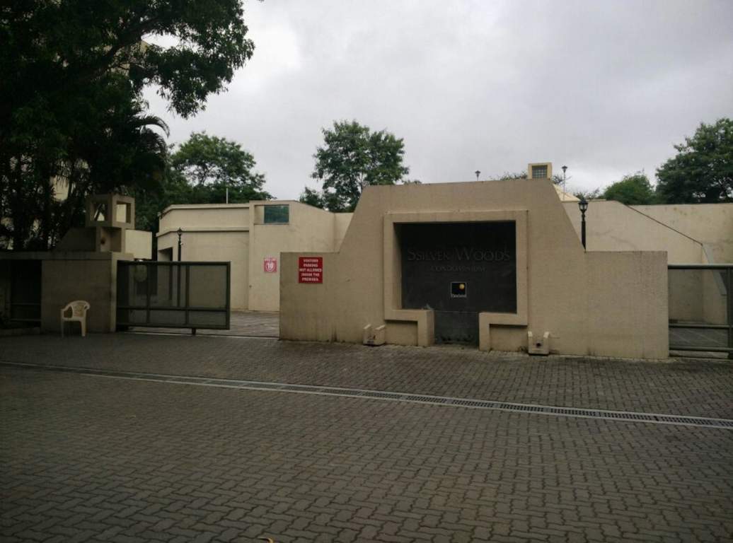  ssliver woods Others