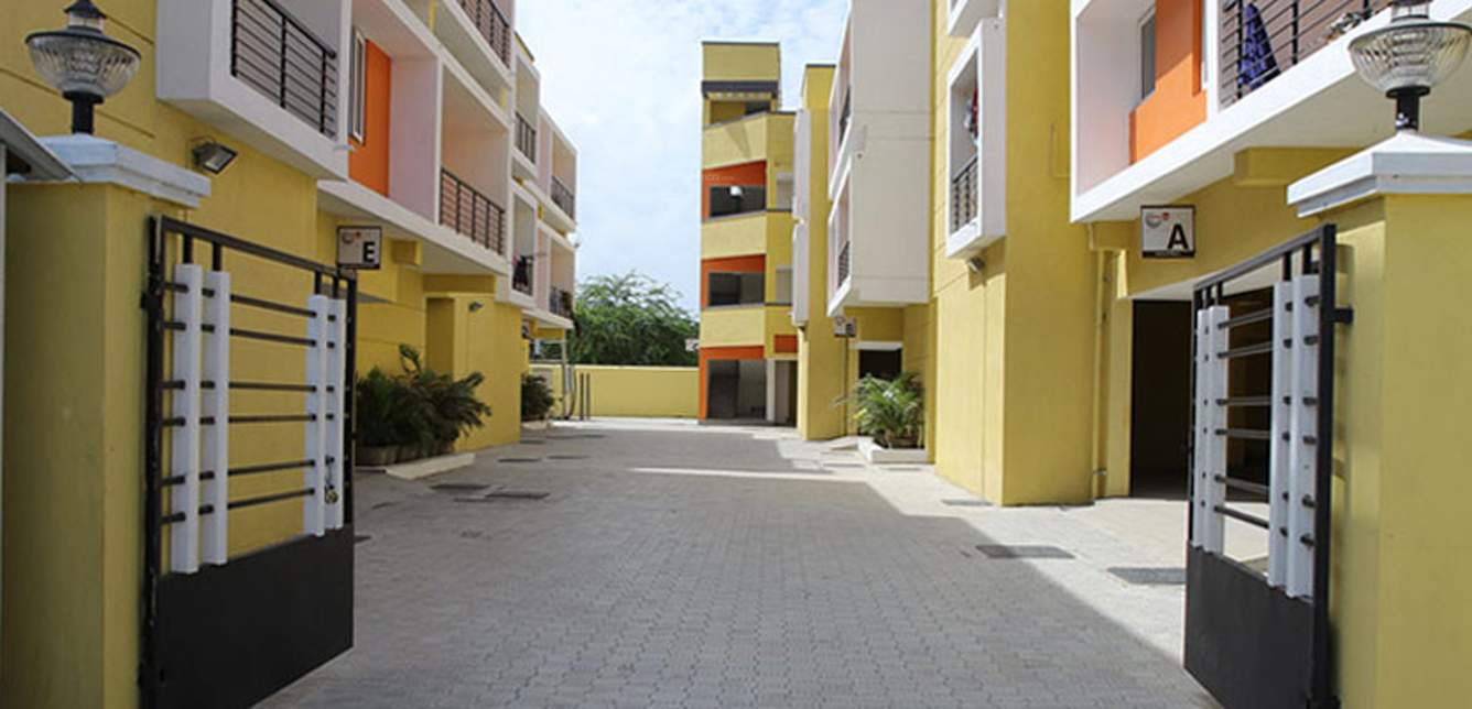  oakwood Images for Elevation of Urban Tree Oakwood