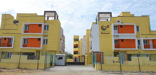  oakwood Images for Elevation of Urban Tree Oakwood