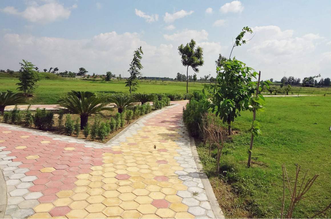 Images for Amenities of UCHDPL Wave Executive Floors GH