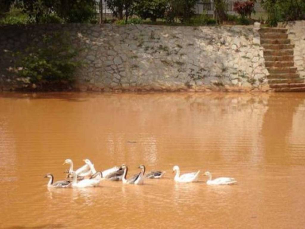 satellite township Others