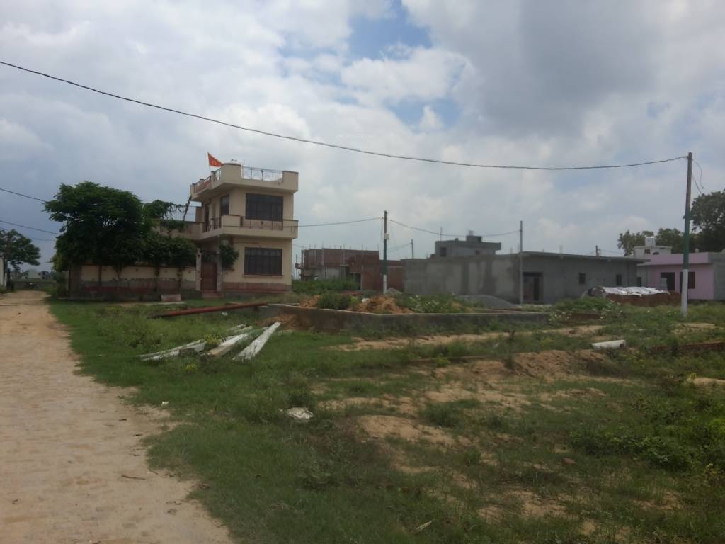 Images for mainOther