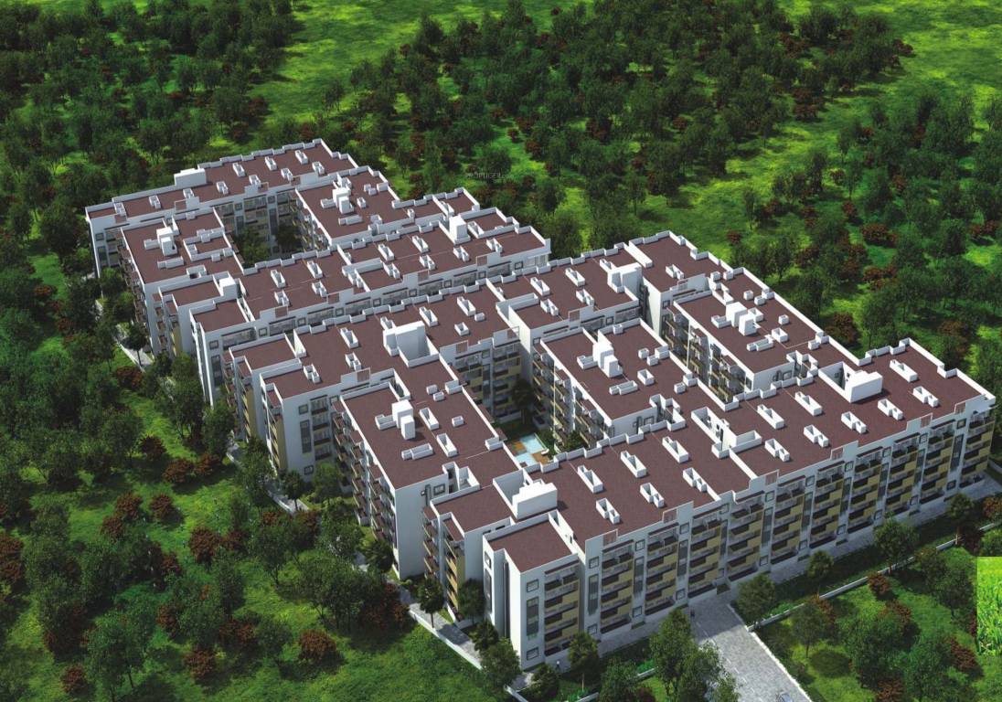  magnolia park Elevation