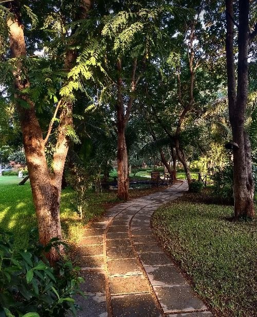  suramya seven Others