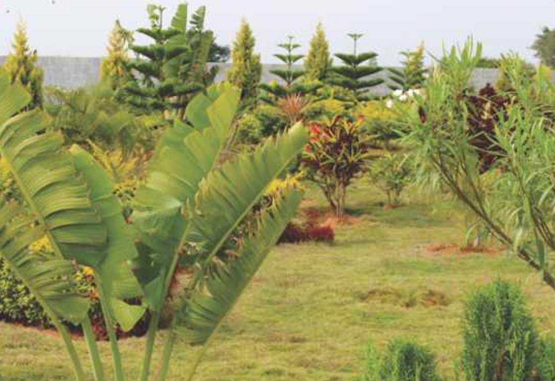 de flora Images for Amenities of AVS De Flora