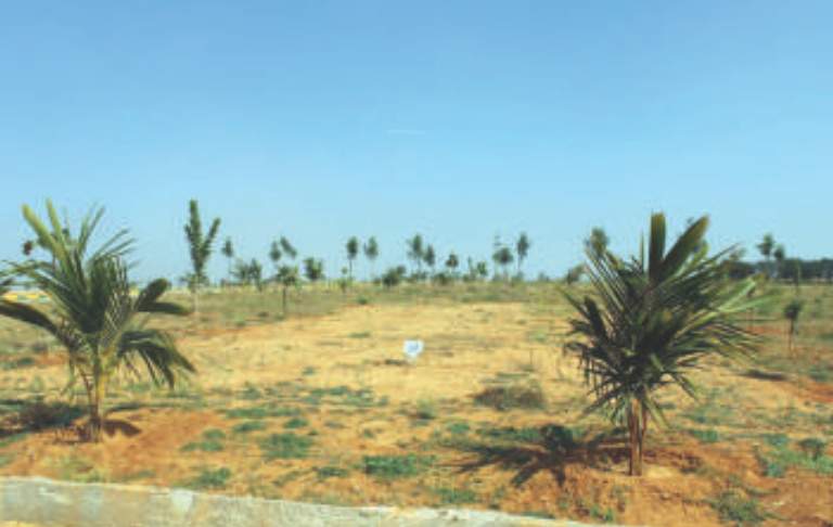 de flora Images for Amenities of AVS De Flora