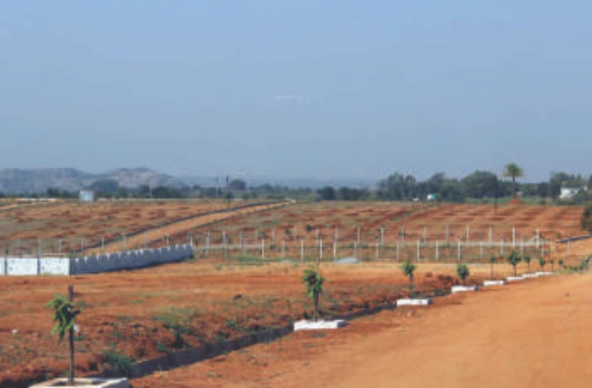 de flora Images for Amenities of AVS De Flora