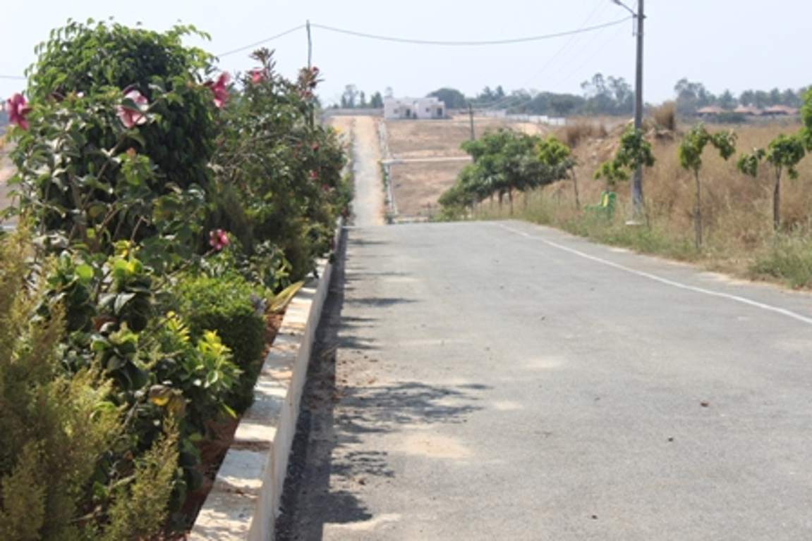 de flora Images for Amenities of AVS De Flora