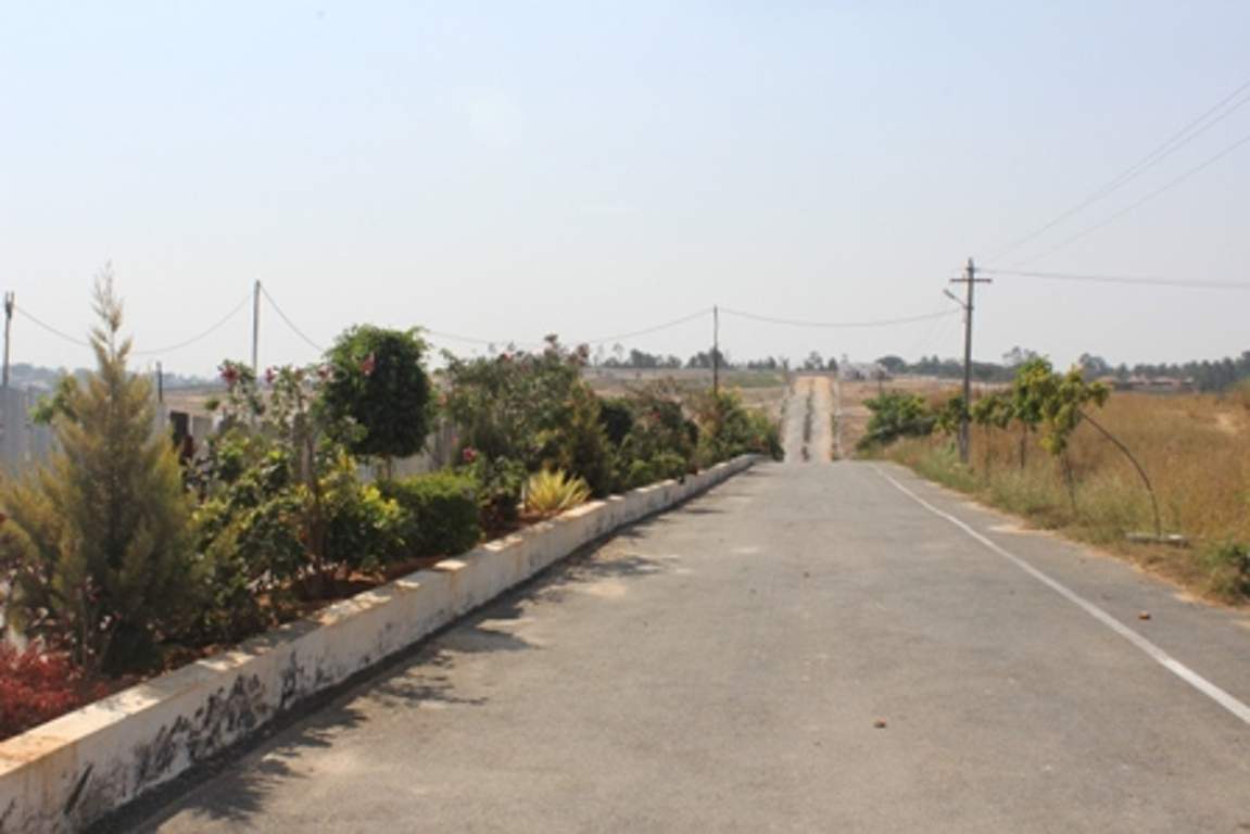 de flora Images for Amenities of AVS De Flora