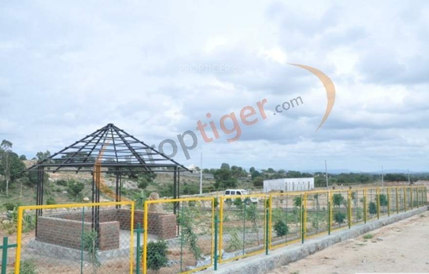 de flora Images for Main Other of AVS De Flora