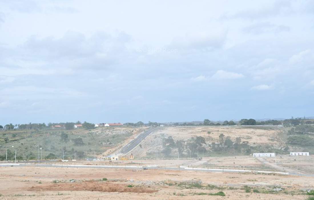 de flora Images for Main Other of AVS De Flora