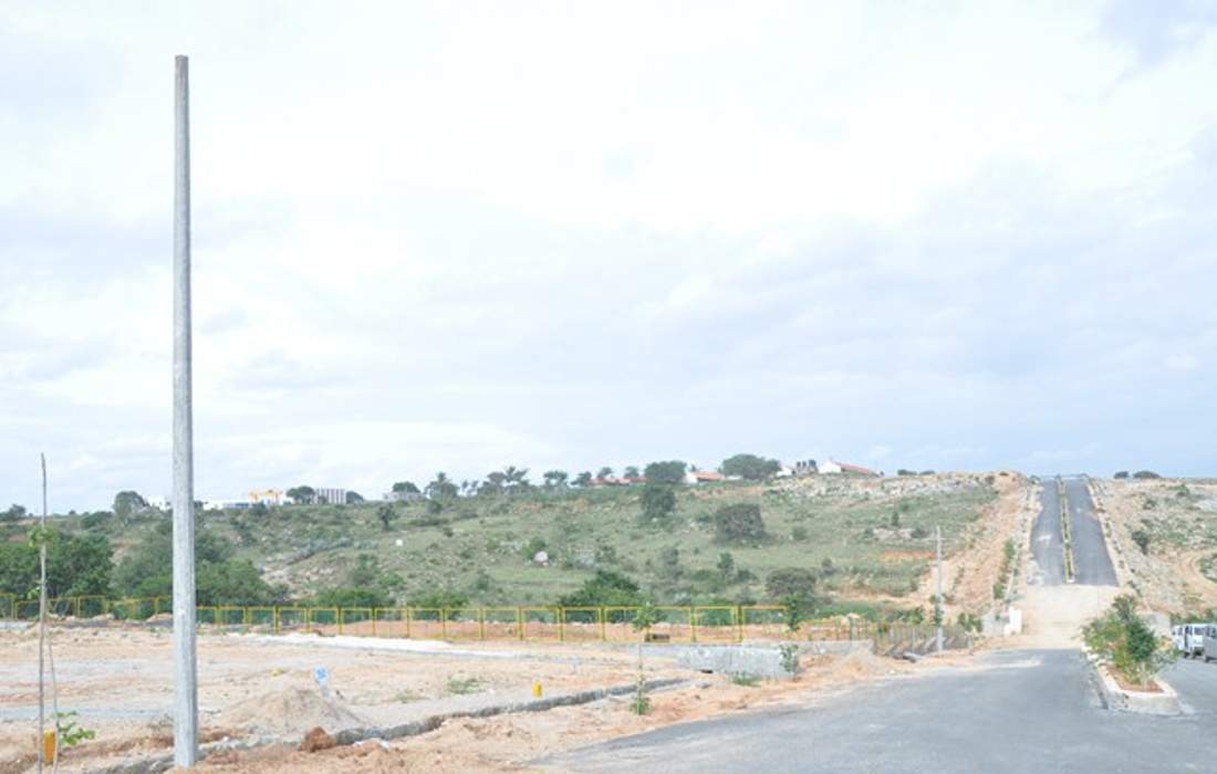 de flora Images for Main Other of AVS De Flora