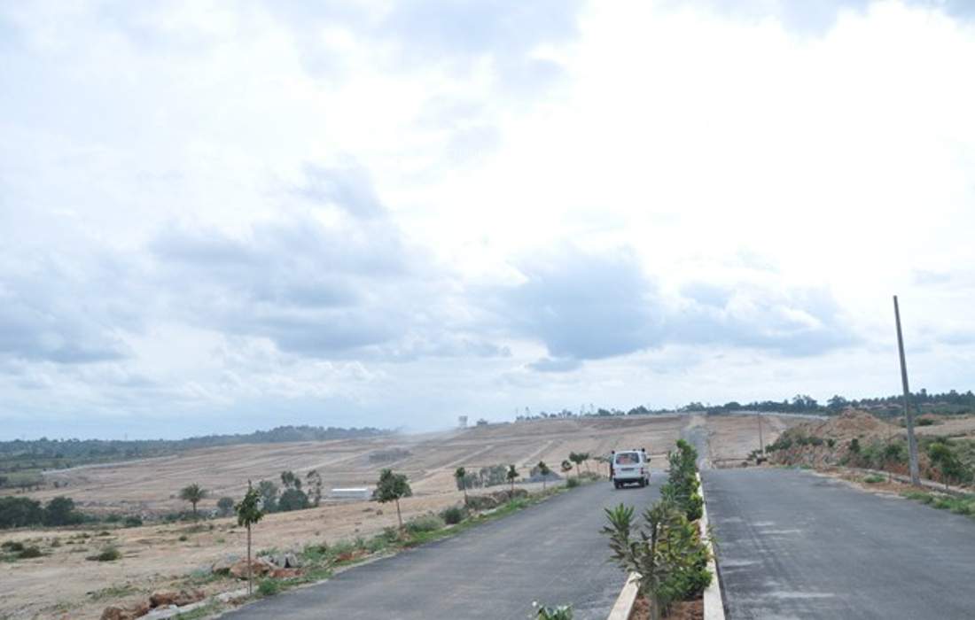 de flora Images for Main Other of AVS De Flora