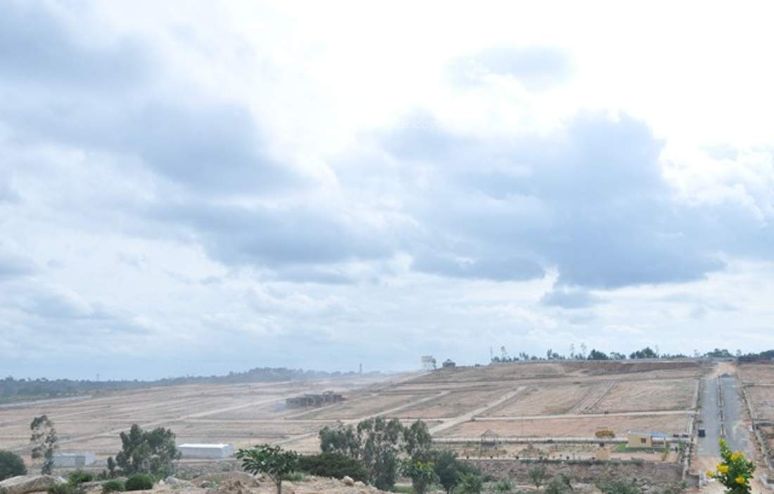 de flora Images for Main Other of AVS De Flora