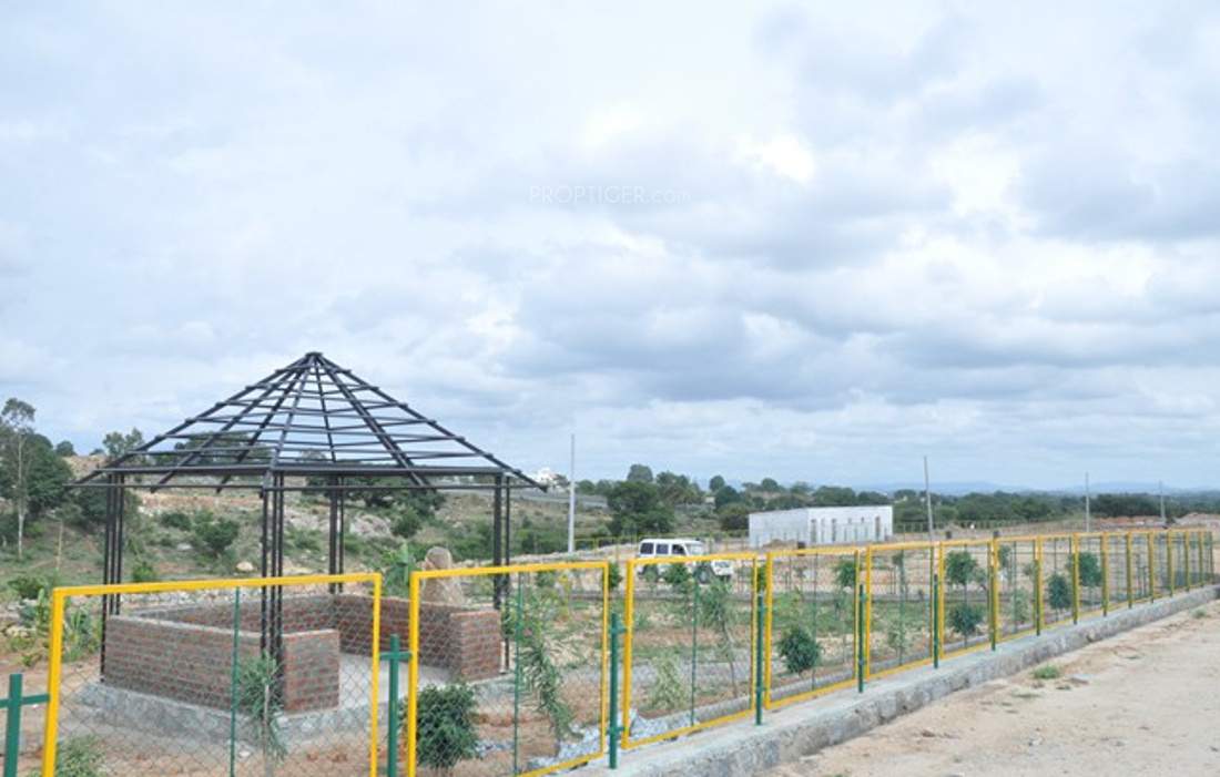 de flora Images for Main Other of AVS De Flora