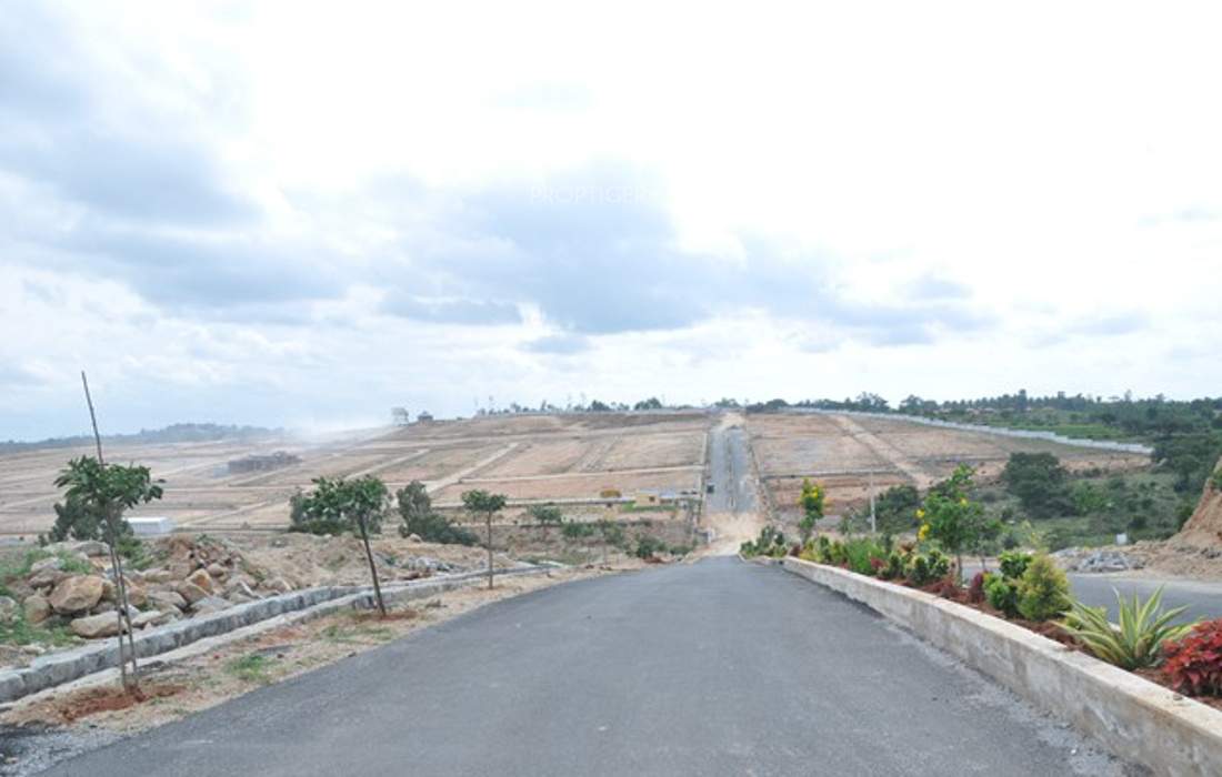 de flora Images for Main Other of AVS De Flora