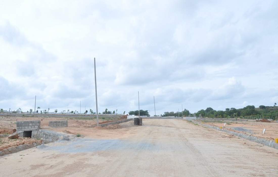 de flora Images for Main Other of AVS De Flora