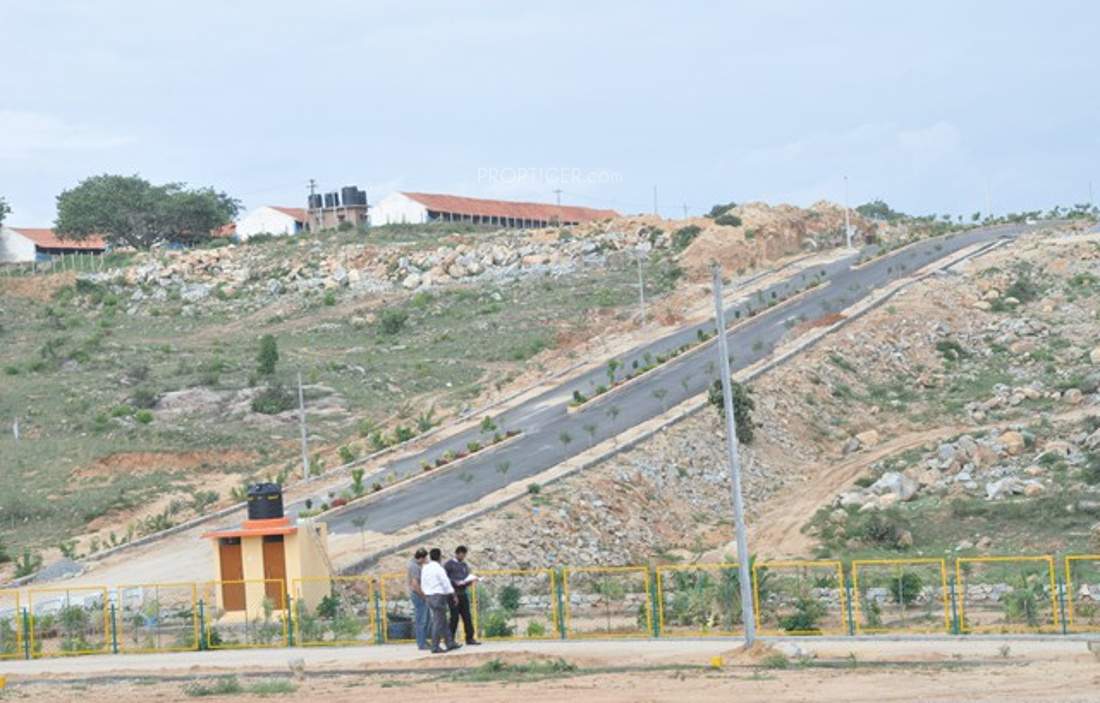 de flora Images for Main Other of AVS De Flora