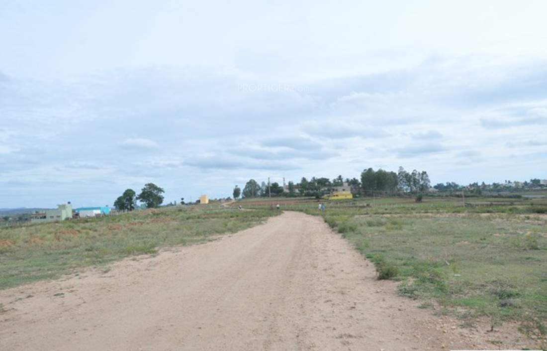 de flora Images for Main Other of AVS De Flora