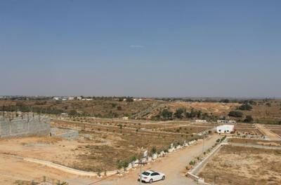  de-flora Images for Main Other of AVS De Flora