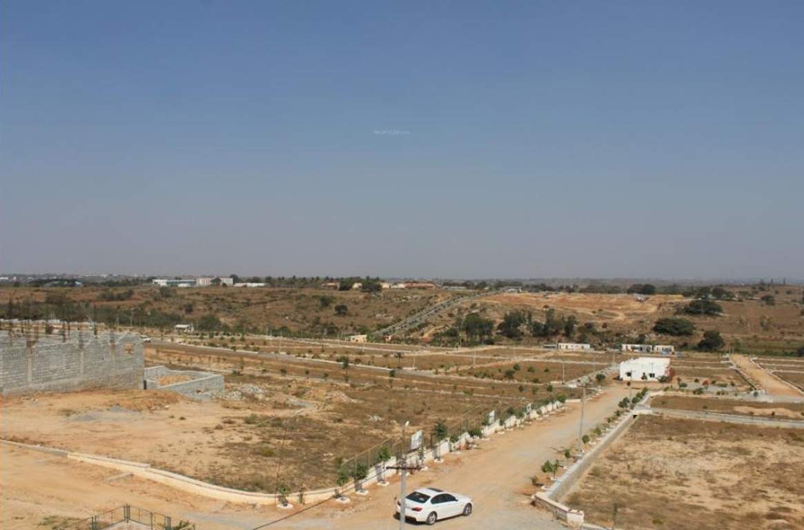 de flora Images for Main Other of AVS De Flora