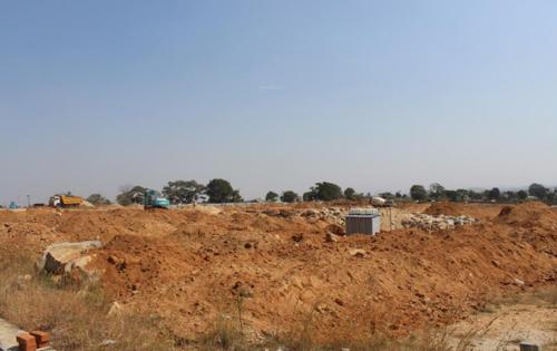  de-flora Images for Main Other of AVS De Flora