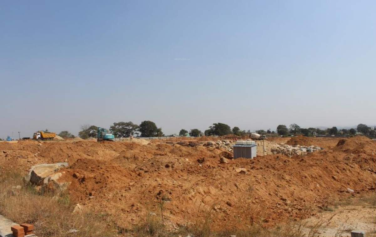 de flora Images for Main Other of AVS De Flora