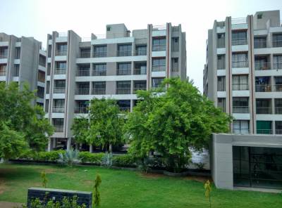  summit Landscape Garden and Tree Planting