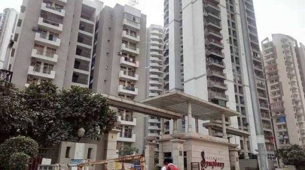 Elevation orchid Elevation