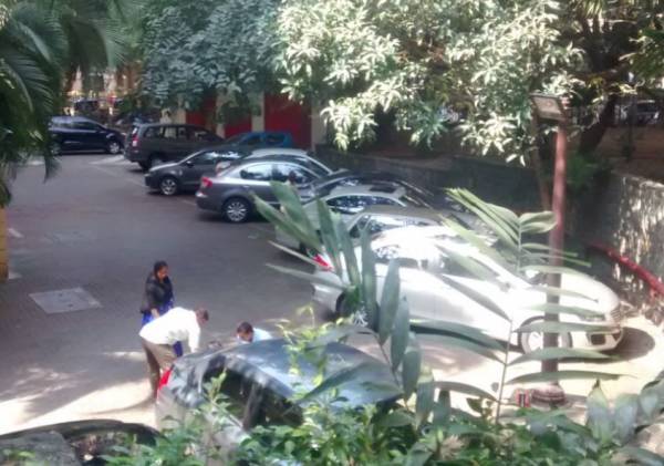 Others brentwood Others