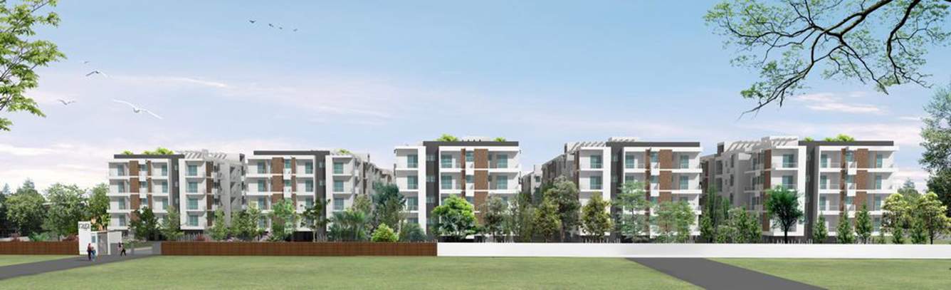  raga Images for Elevation of Mohan Raga