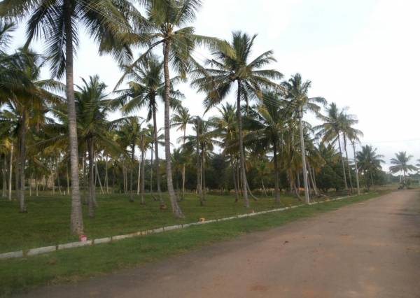 Images for Amenities of Bhoomika Royal Heritage Garden