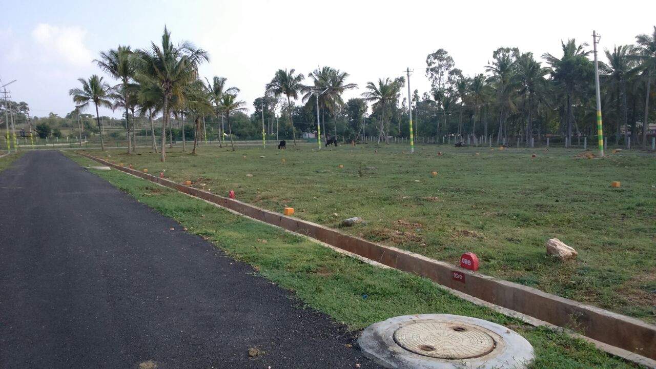 Images for Main Other of Bhoomika Royal Heritage Garden